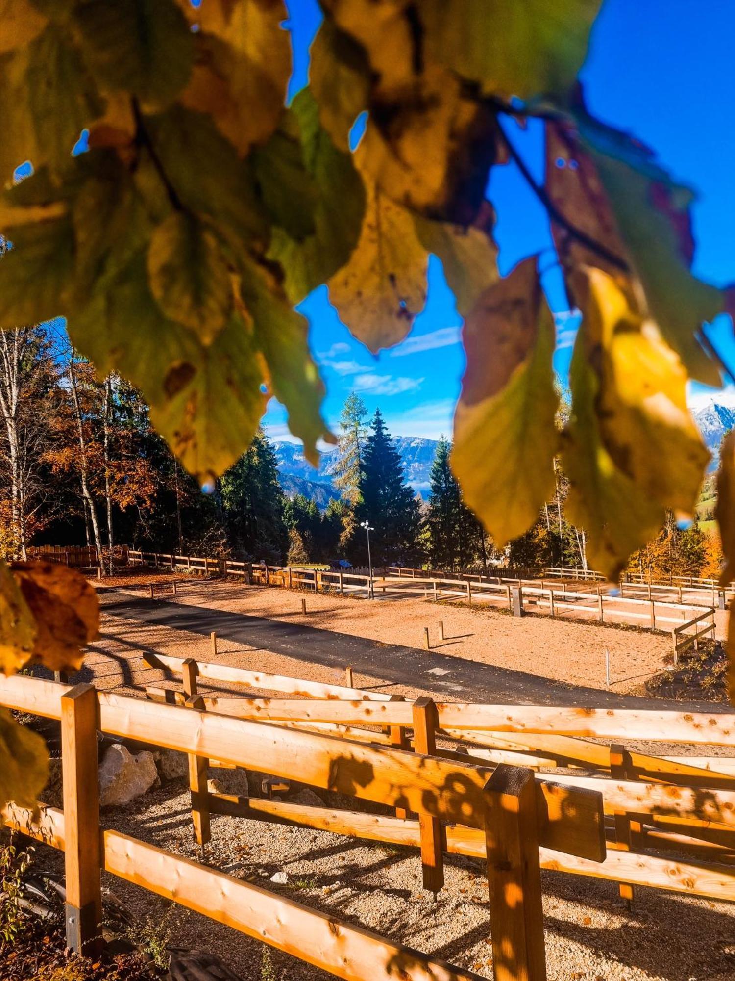 Camping Essenza Alpina Folgaria Esterno foto