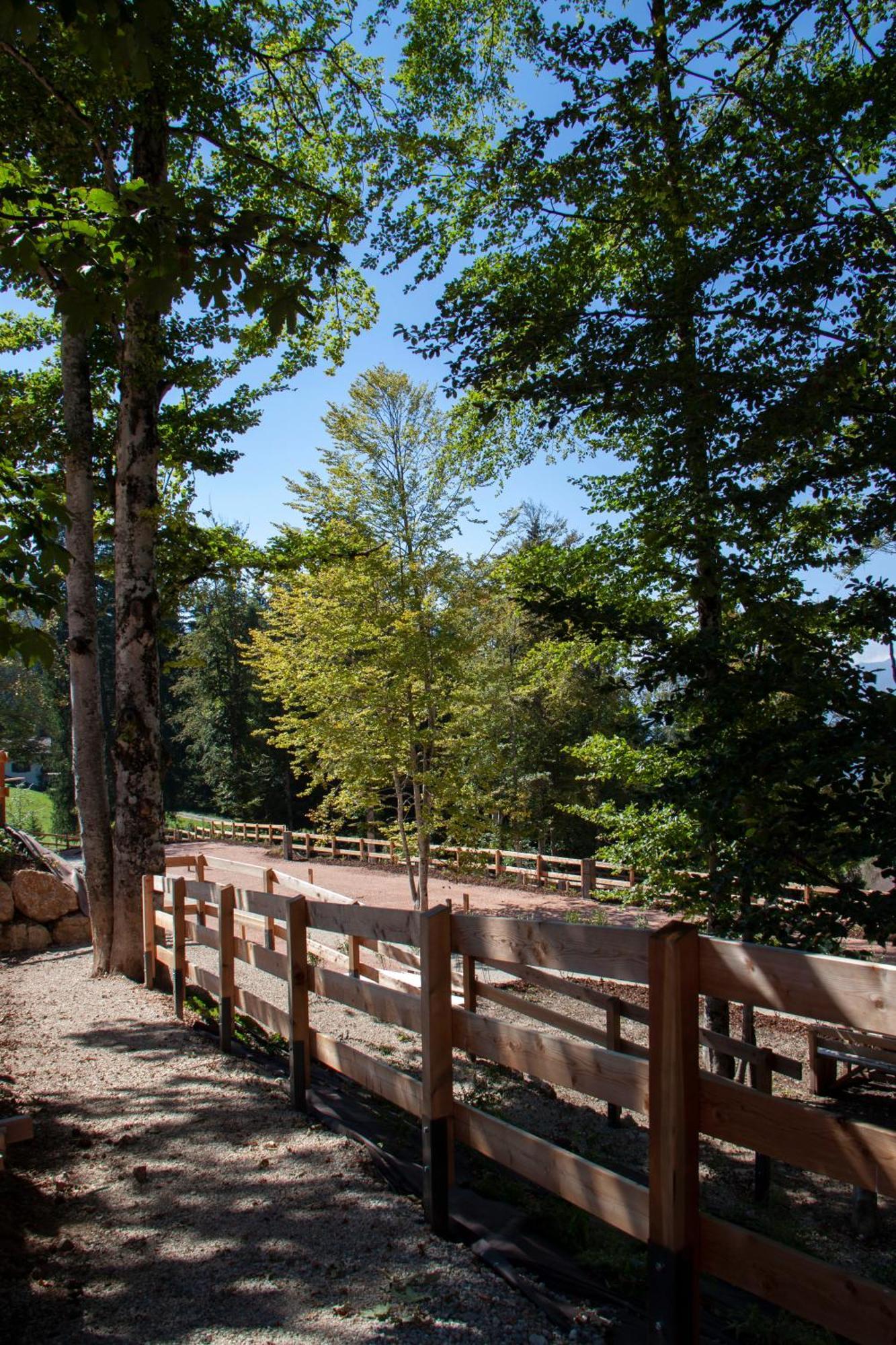 Camping Essenza Alpina Folgaria Esterno foto